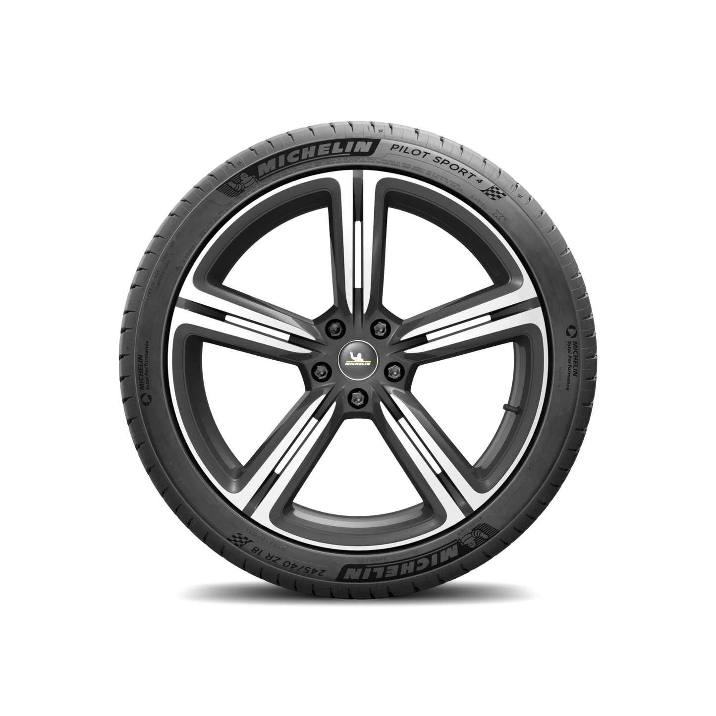 LLANTA  MICHELIN PILOT SPORT 4 315/30R21 (105Y)